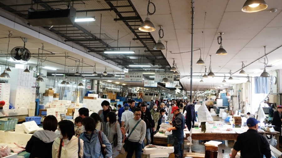 見て 触れて 食べて 観光客も楽しめる 長浜鮮魚市場 ガイド マンガで見る天神 天神サイト