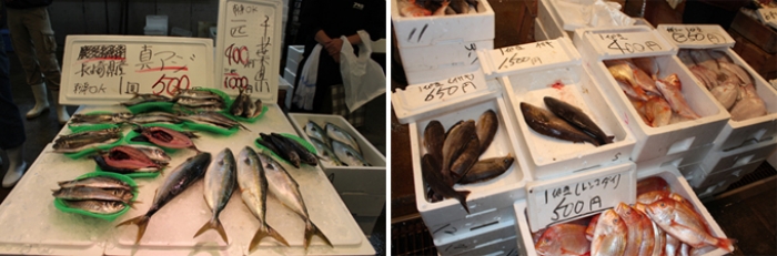 玄海灘の魚たちにすっかり夢中 月イチ 長浜鮮魚市場 へ行ってみた 天神サイト