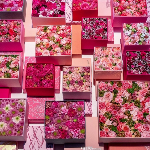 ニコライ バーグマンの展覧会が再び The Flower Box Exhibition In Dazaifu 天神サイト