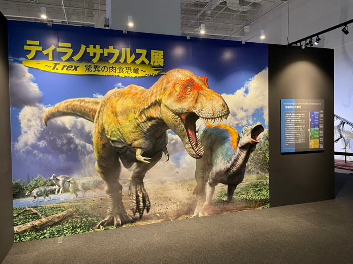 食物連鎖の頂点に君臨するティラノサウルス、福岡市科学館に参上