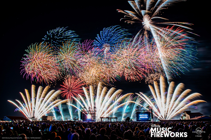 ディズニー ミュージック&ファイヤーワークス ペアチケット
