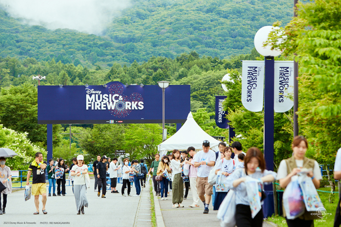 ディズニー ミュージック&ファイヤーワークス ペアチケット
