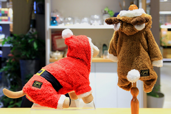 クリスマスは大切なワンちゃんへのプレゼントも忘れずに！ | 天神サイト