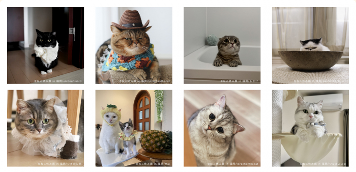 SNSで大人気のねこクリエイター大集合！写真展＆グッズ販売『ねこ休み