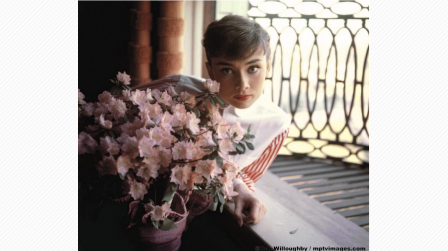 永遠の妖精 オードリー ヘプバーン 福岡三越で写真展を開催 天神サイト