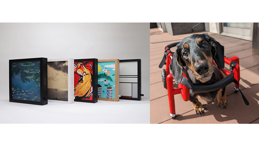 福岡市が認定！「sonae 備絵」「犬の車いす」の魅力を紹介 | 天神サイト