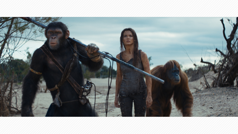 PLANET OF THE APES 猿の惑星　3体セット Amazon.co.jp: 猿の惑星 プリクエル DVDコレクション (3枚組
