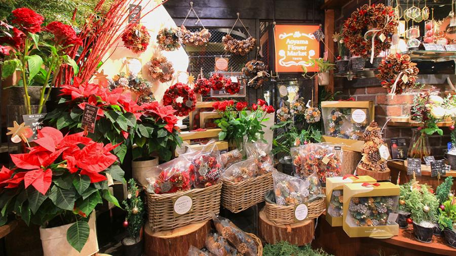 クリスマス気分を盛り上げるリースやポインセチアが勢揃い！ | 天神サイト