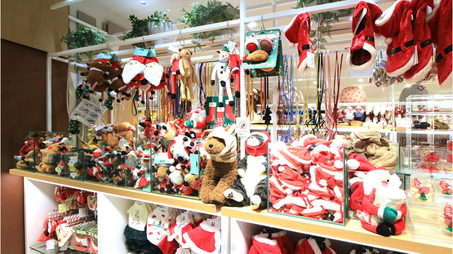 クリスマスは大切なワンちゃんへのプレゼントも忘れずに！ | 天神サイト